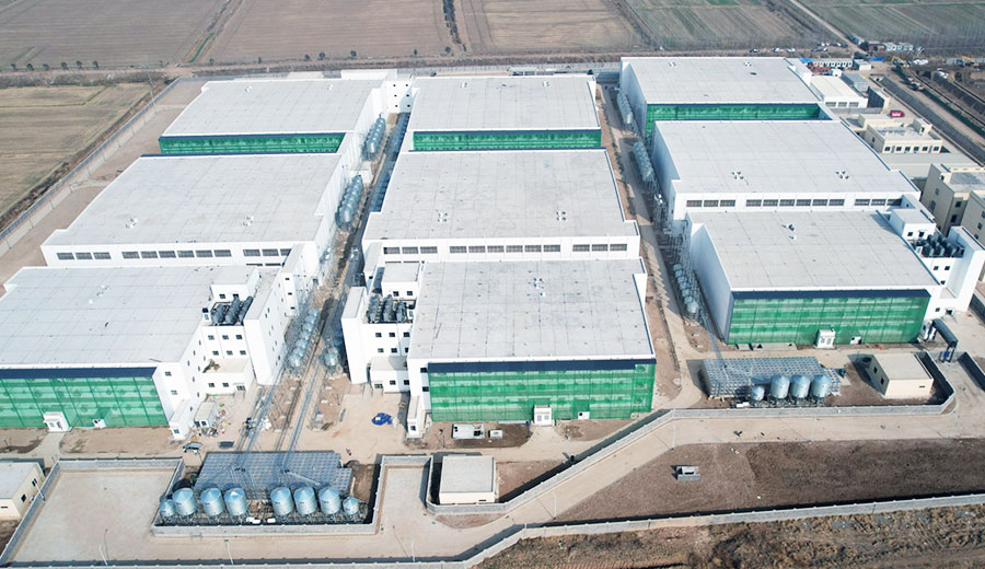 Jiangsu Sow Farm